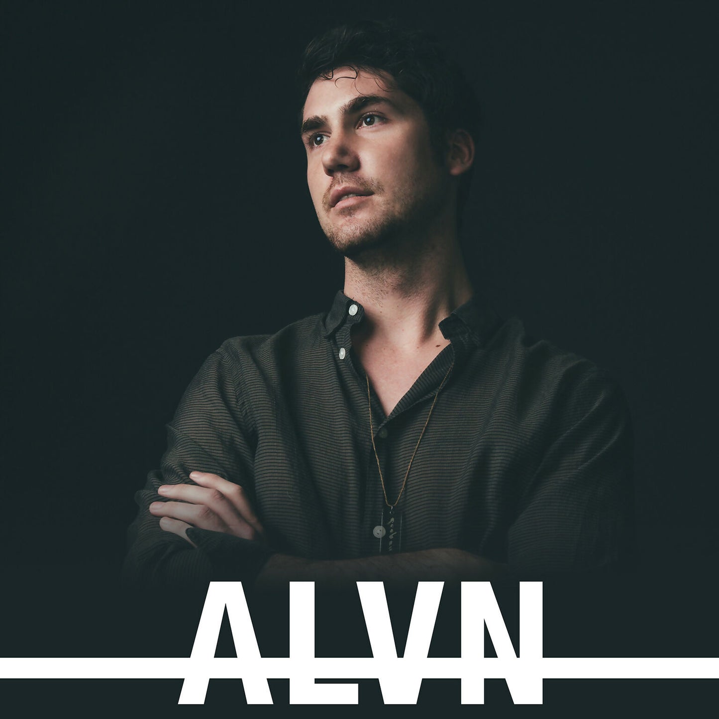 ALVN Album Art small